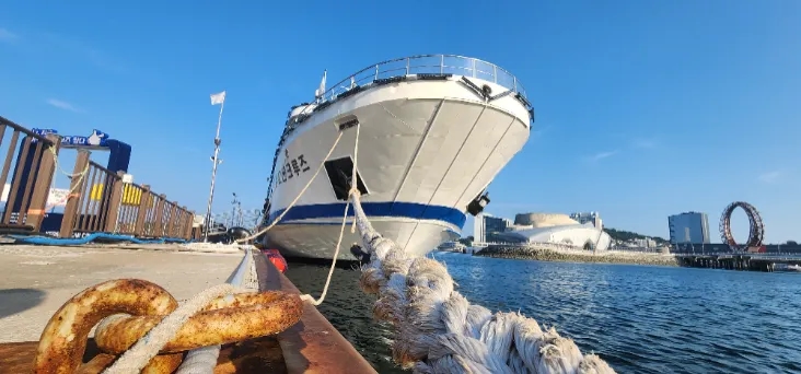 KakaoTalk_20250628_023524347_07---732.webp-crop